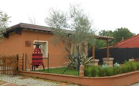 Ulivo Della Querce